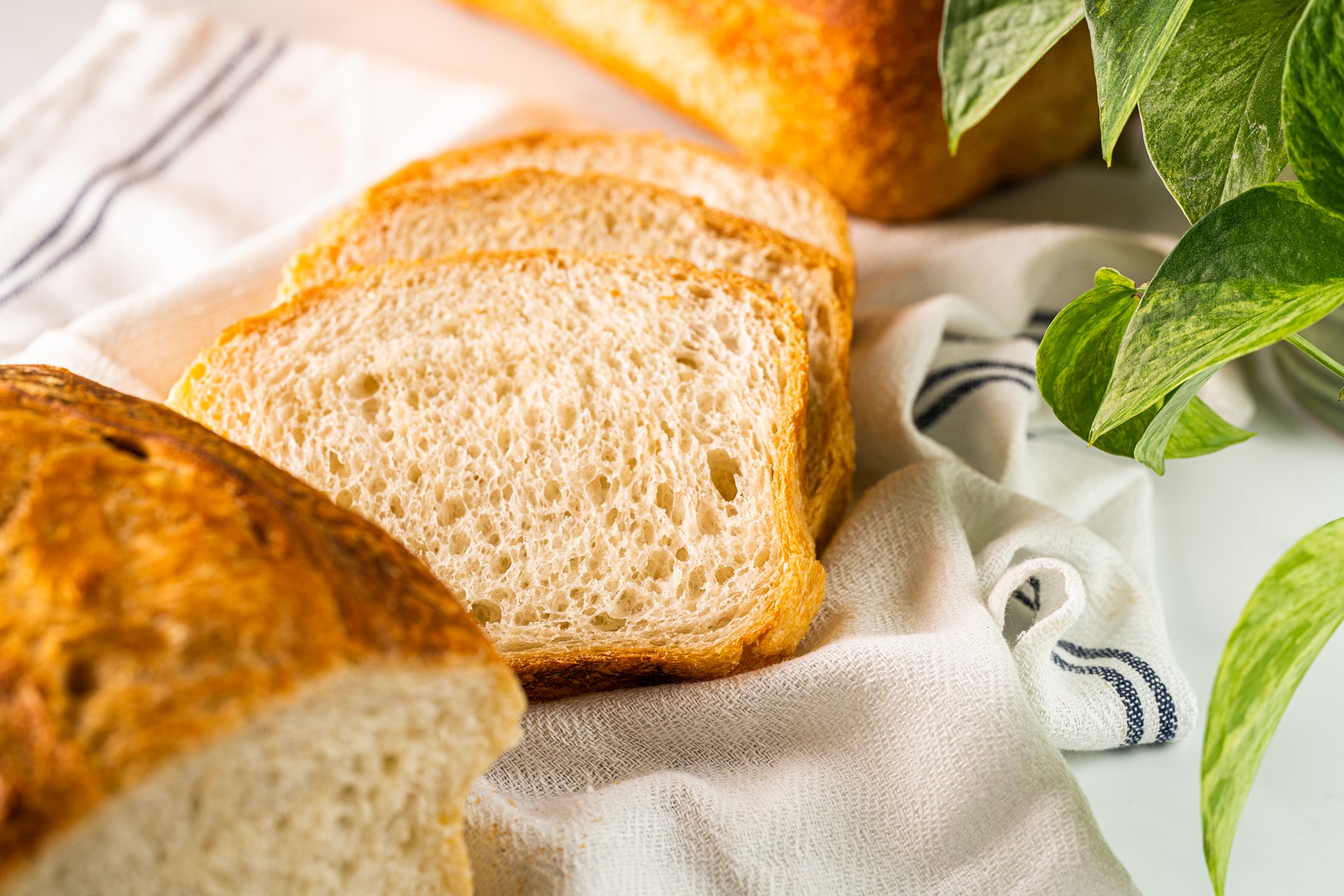 Classic Sourdough