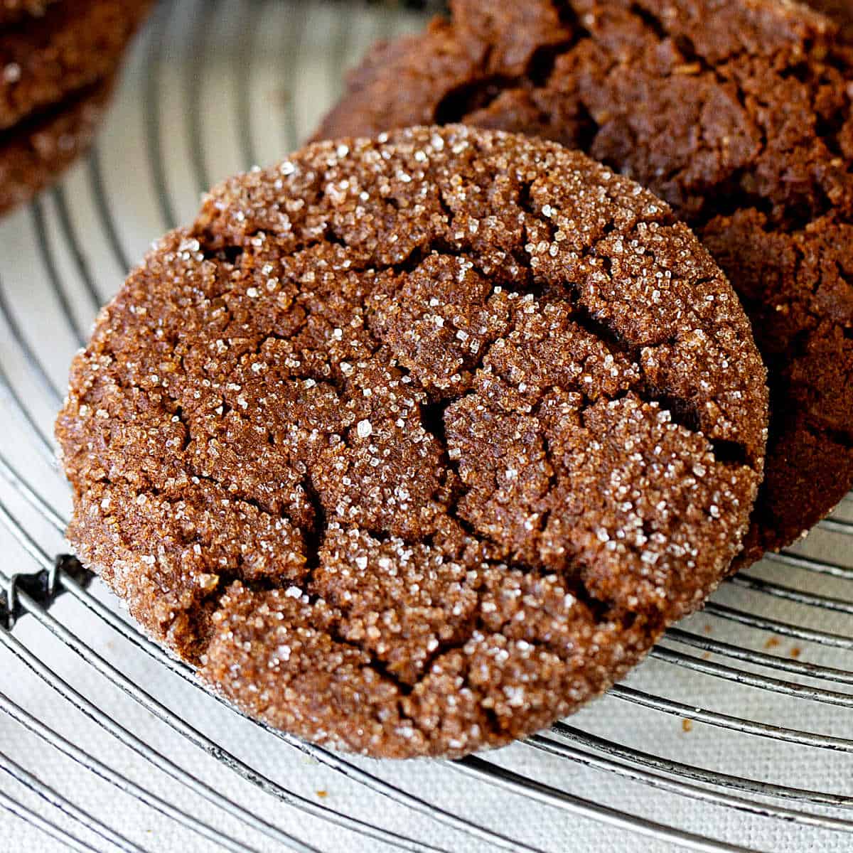 Ginger Molasses Cookies