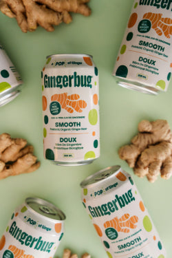 Gingerbug Ginger Beer