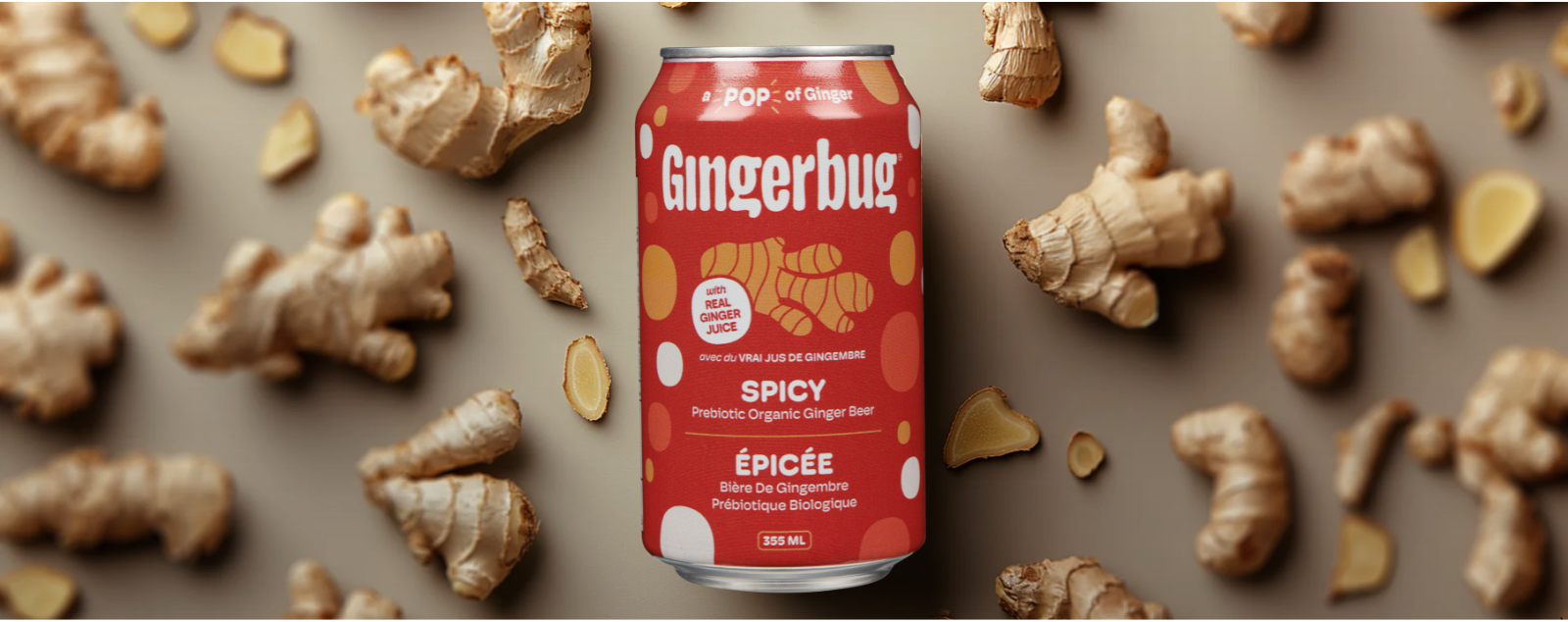 Gingerbug Ginger Beer