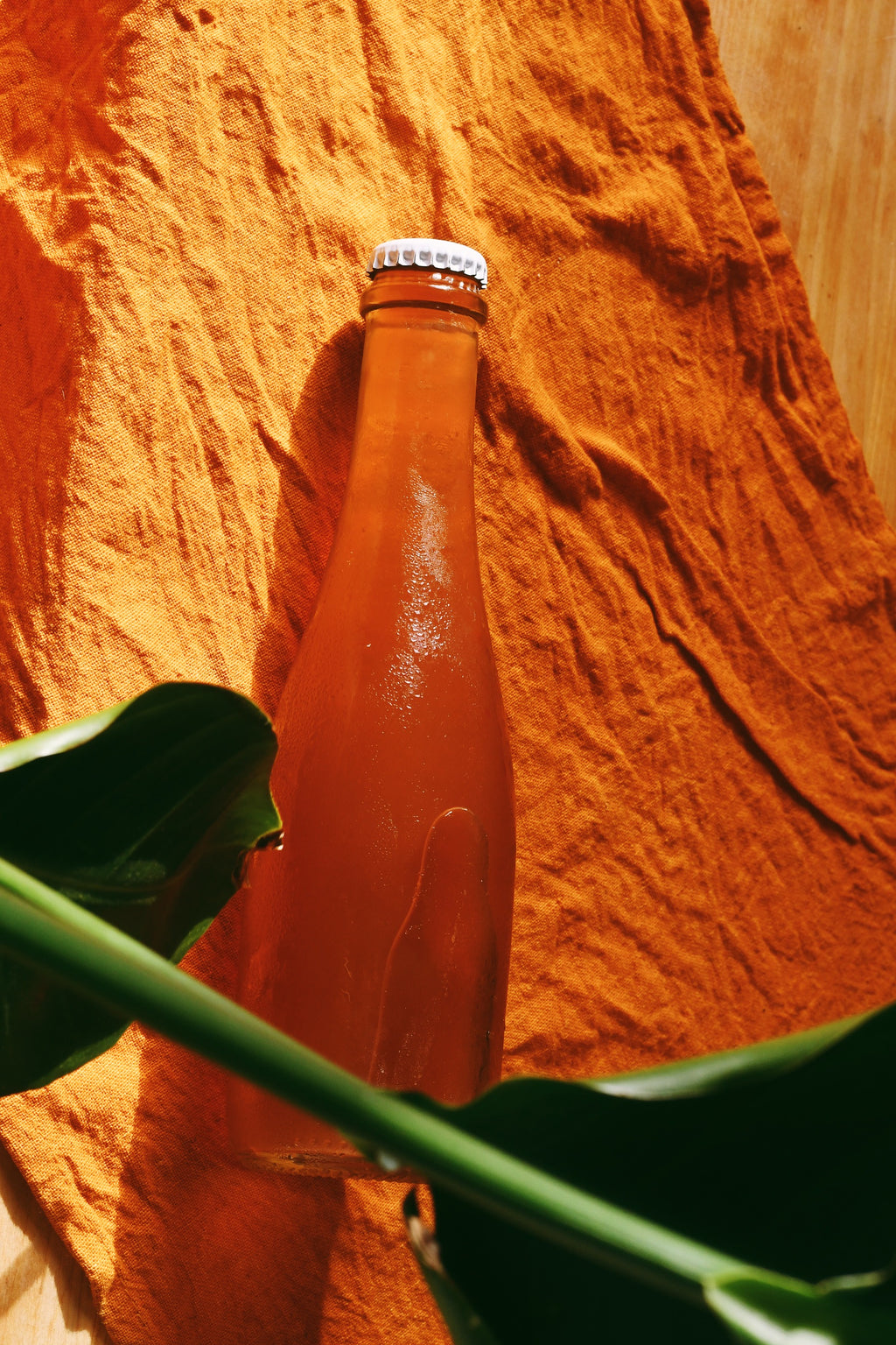 Rebel Kombucha